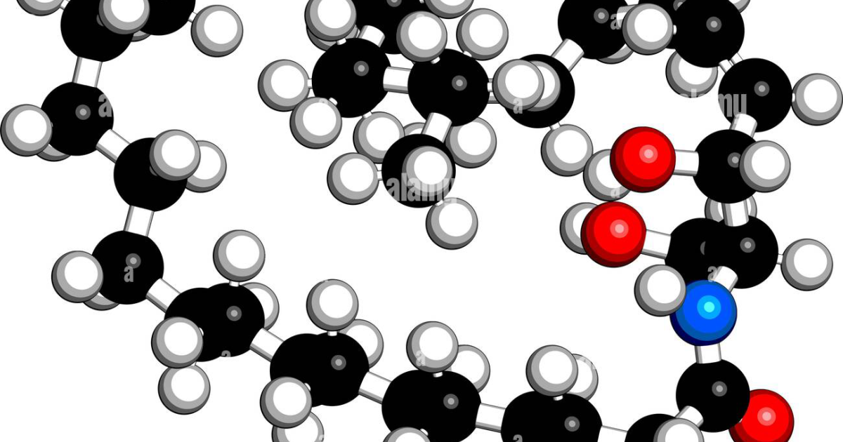 Cardionex capsules: Targeting Ceramides to Reverse Insulin Resistance at the Cellular Level