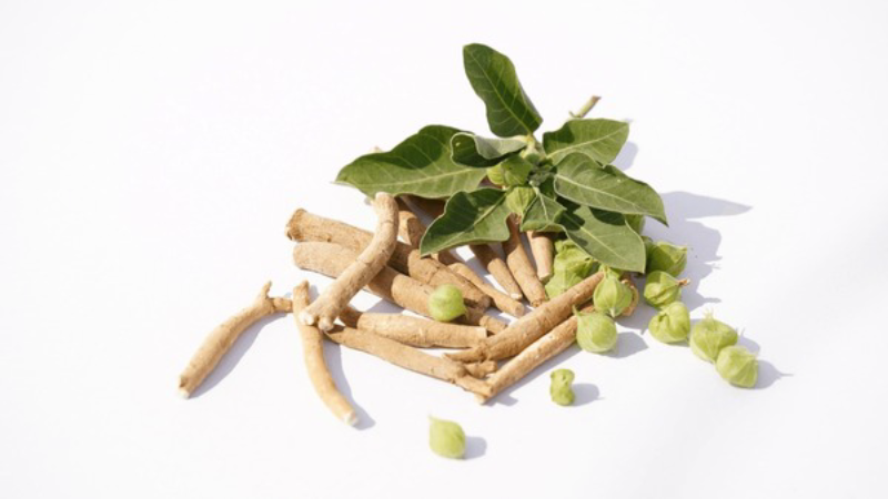 close-up of ashwagandha root and gymnema leaves