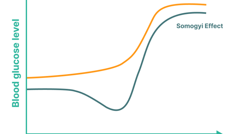 dawn phenomenon blood glucose curve graph showing overnight rise