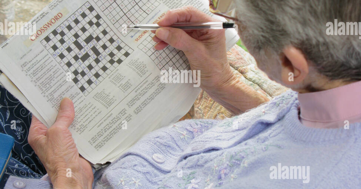 Neuro Sharp: Harnessing Neuroplasticity in Aging to Stimulate BDNF and Dendrite Growth