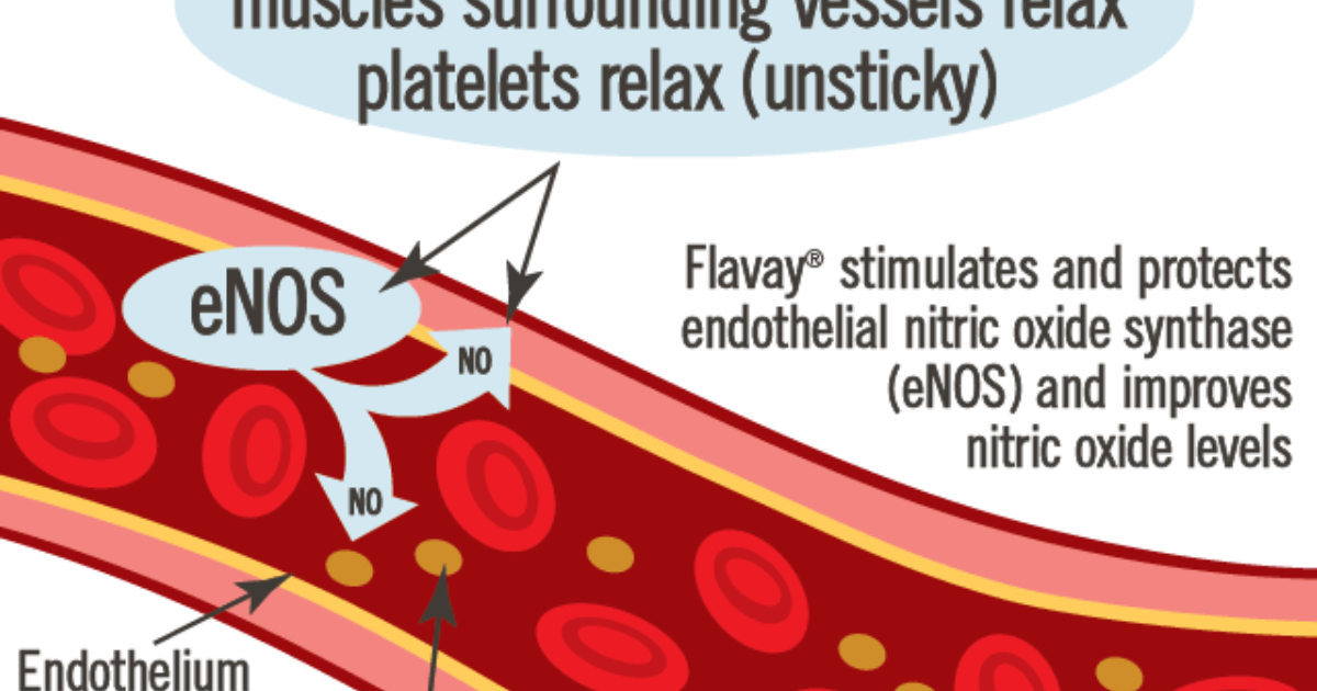 Phytomen One: Enhancing Brain Blood Flow with Dietary Nitrates for Cognitive Vitality