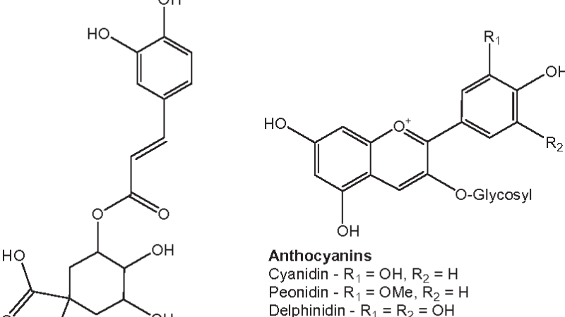 blueberry polyphenols molecular structure