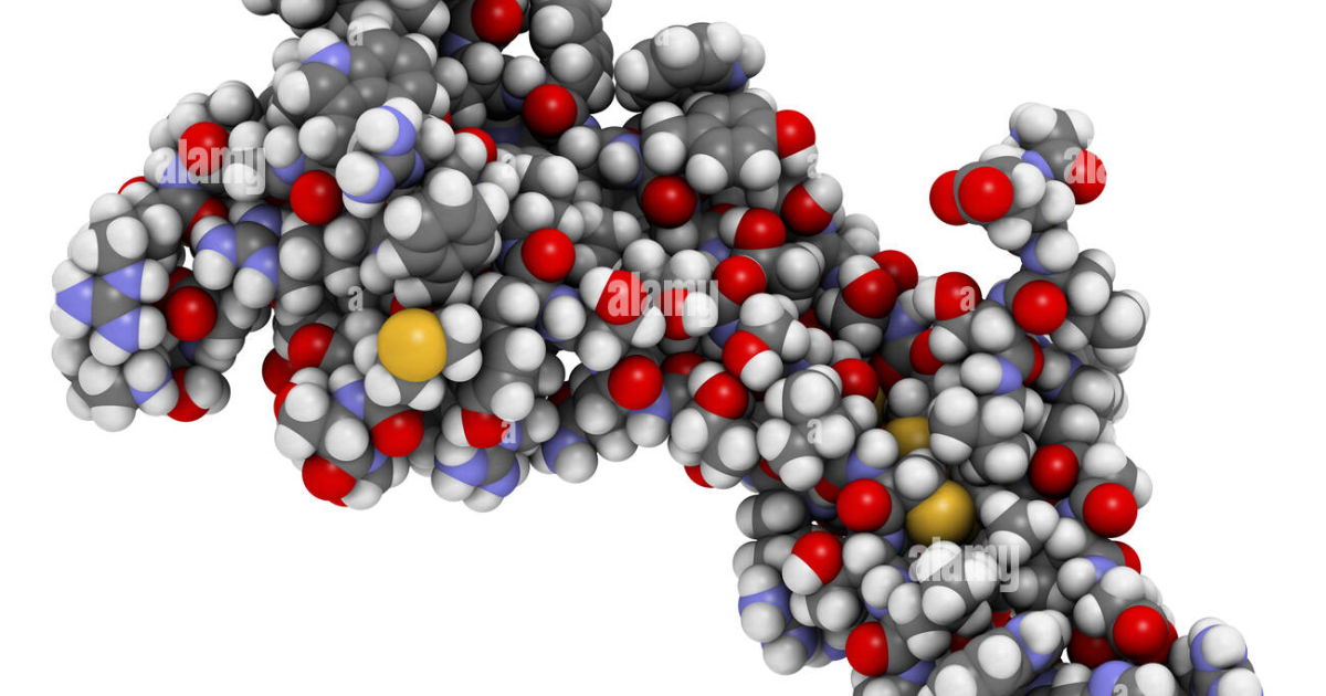 The Genius Wave: Boost BDNF Naturally with Clinically Validated Pathways