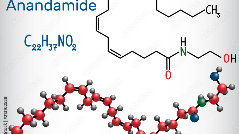molecular structure of anandamide with ECS receptors diagram