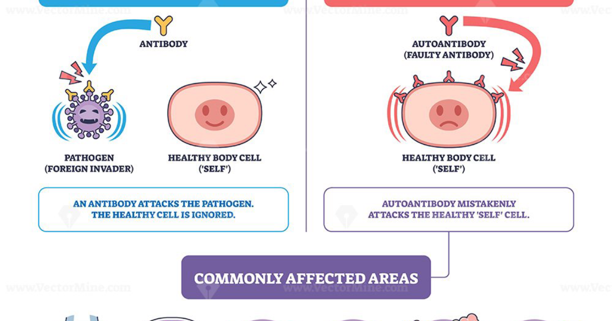 Vital Hemp: How CB2 Receptor Activation Offers a Breakthrough for Autoimmune Conditions