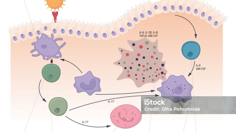 immune cell releasing cytokine molecules illustration