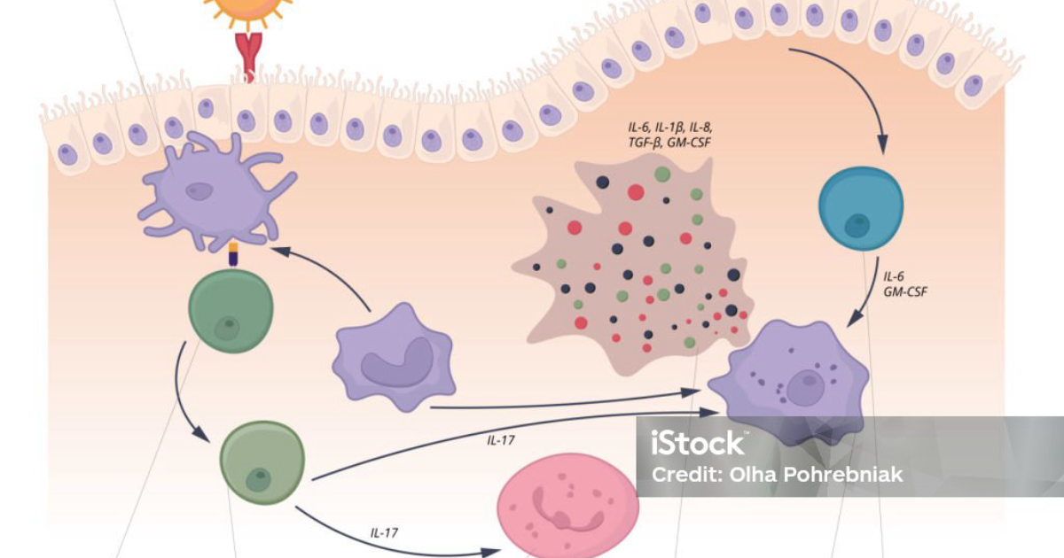 Vital Hemp: Mitigating Cytokine Storms Through Endocannabinoid Modulation