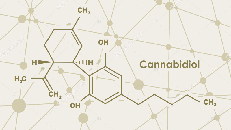 cb2 receptor binding cbd illustration