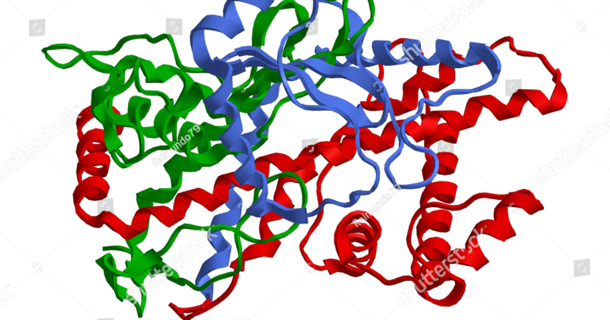 Vital Hemp: Navigating Cytochrome P450 Interactions with Hemp Extract