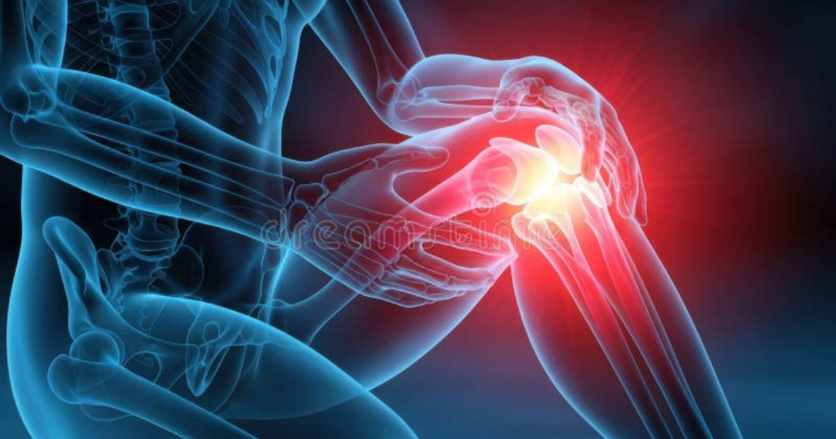 Vital Hemp: Restoring Mobility and Reducing Joint Pain Through Endocannabinoid Modulation
