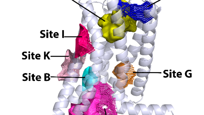molecular structure of CB2 receptor with cannabinoid ligand binding site