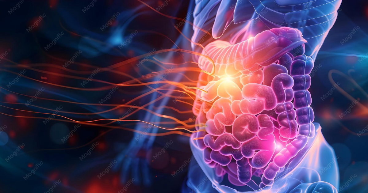 Vital Hemp: Unlocking CB2 Receptors to Soothe Irritable Bowel Inflammation
