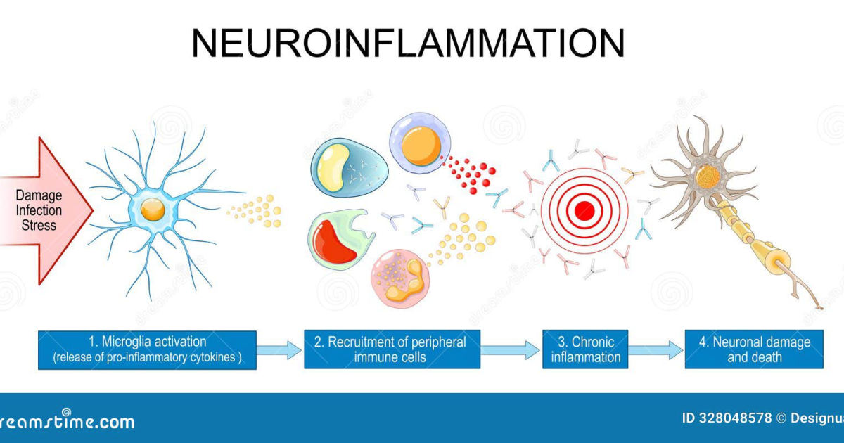 The Genius Wave: Die stille Entzündung im Gehirn: Wie Neuroinflammation zu Gehirnnebel und Gedächtnislücken führt