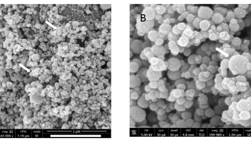 microscopic image of enamel surface before and after hydroxyapatite treatment