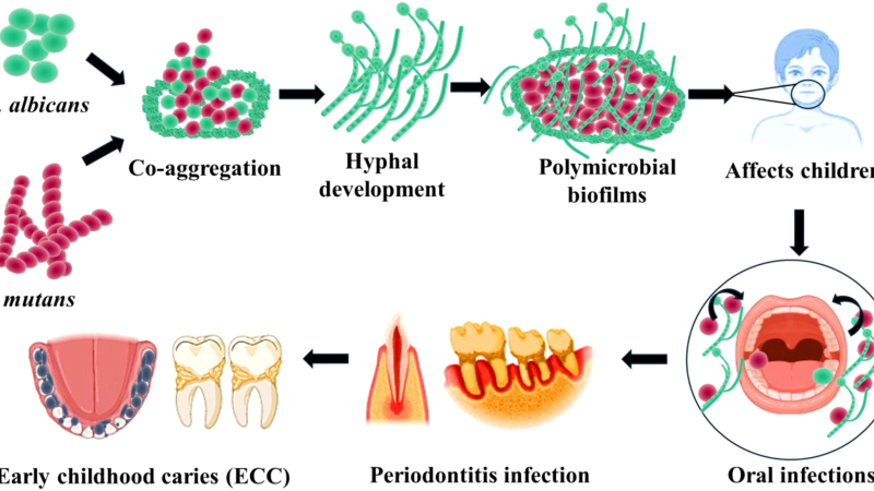diagram of oral microbiome bacteria types