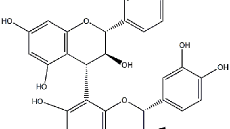 molecular model of grape seed proanthocyanidins or immune cell modulation