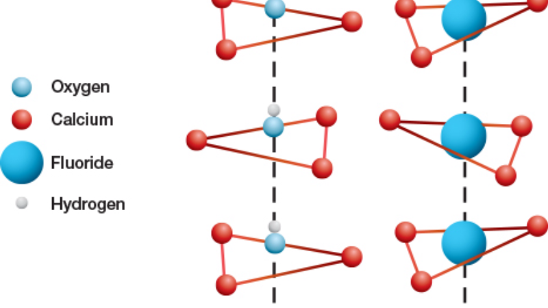 fluoride ion incorporation into hydroxyapatite crystal lattice diagram
