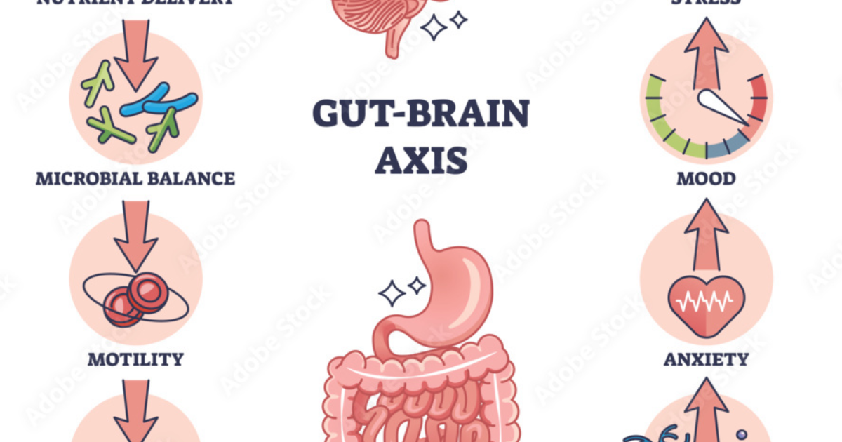 The Genius Wave: Cómo la Inflamación Intestinal Altera los Neurotransmisores y Provoca Niebla Mental