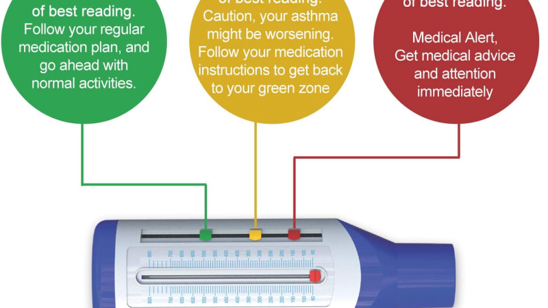 inhaler and lungs illustration