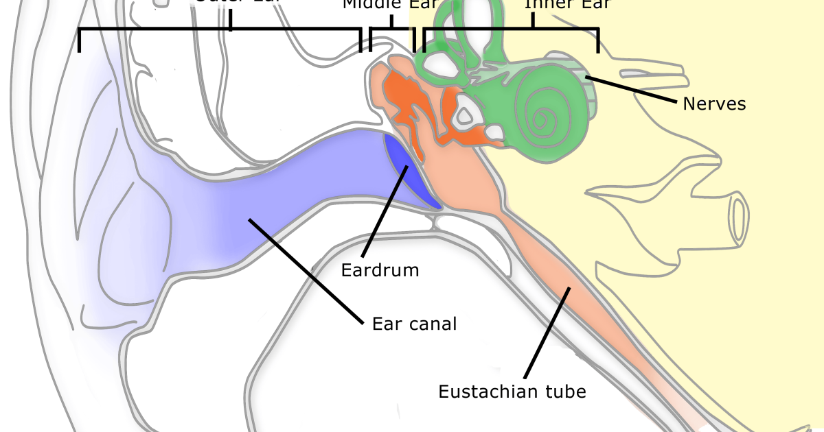Sharp Ear: Ear Stroke: The Hidden Threat of Sudden Sensorineural Hearing Loss (And How to Protect Your Hearing)