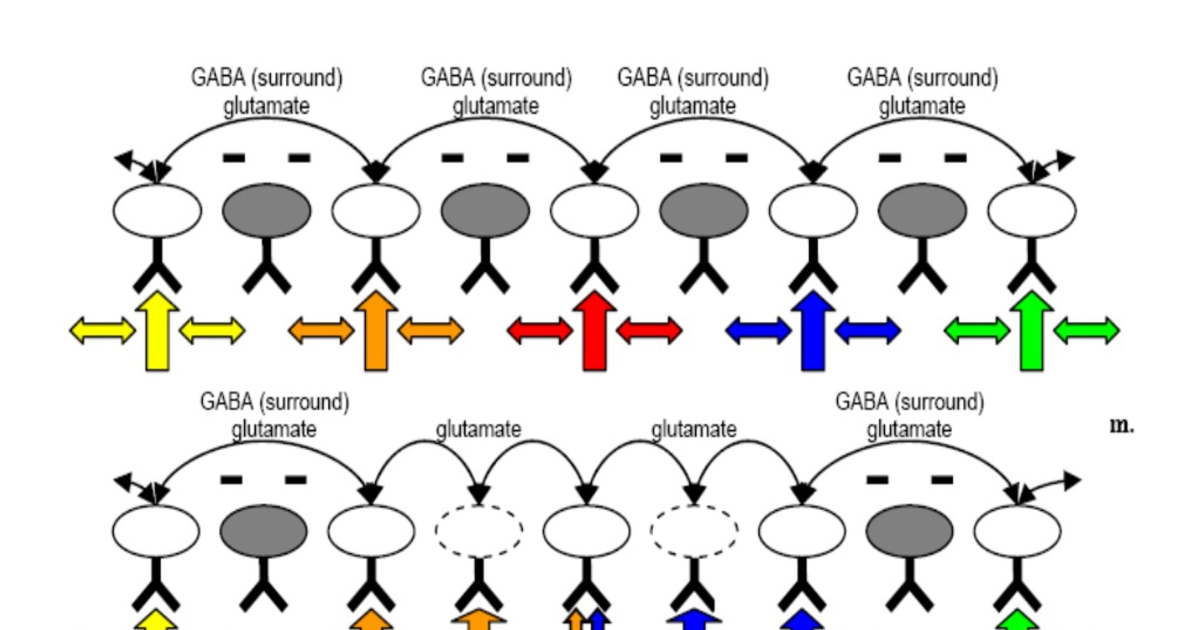 Ring Quiet Plus: From Phantom Ringing to Real Relief – Targeting Oxidative Stress and Auditory Cortex Plasticity in Tinnitus Therapy