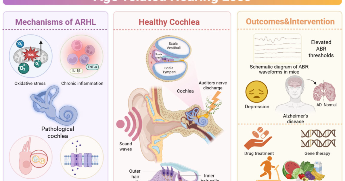 Ringzen 6: How Oxidative Stress Destroys Inner Ear Hair Cells and the Antioxidant Solution for Hearing Preservation