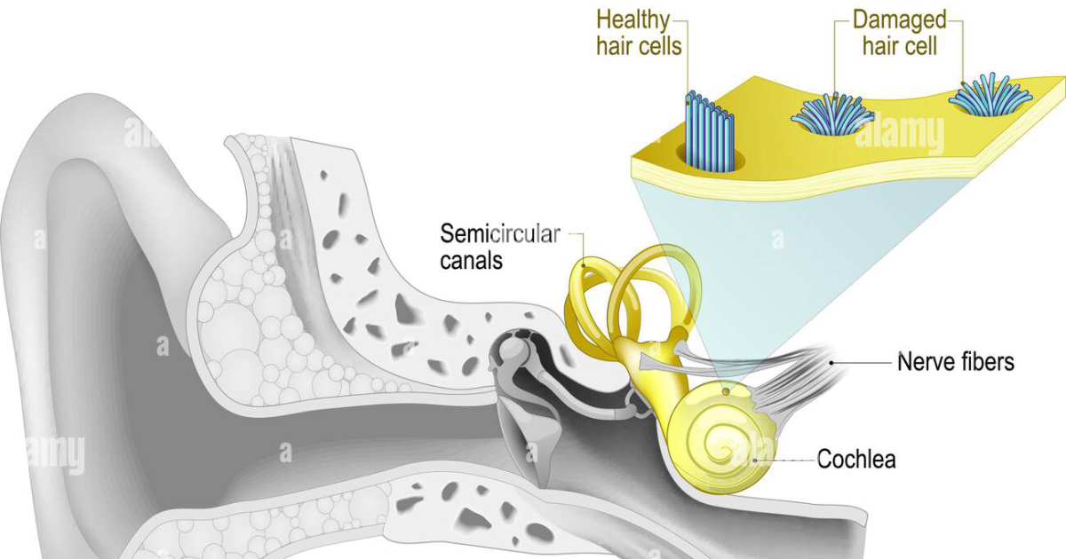 AquaPeace: Why Your Brain Hears What Isn't There