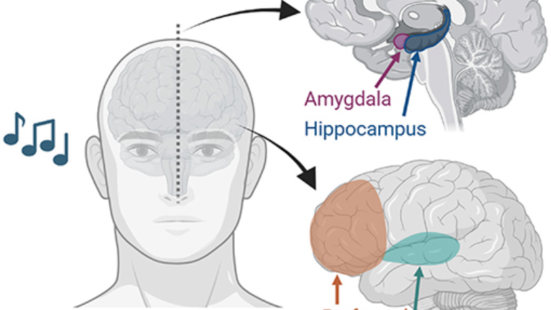 stressed person holding head near ear