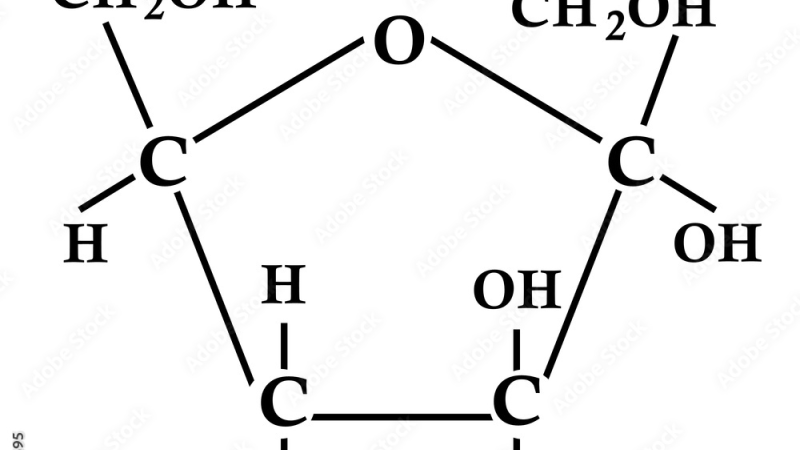 struttura recettore insulinico con glucosio e insulina