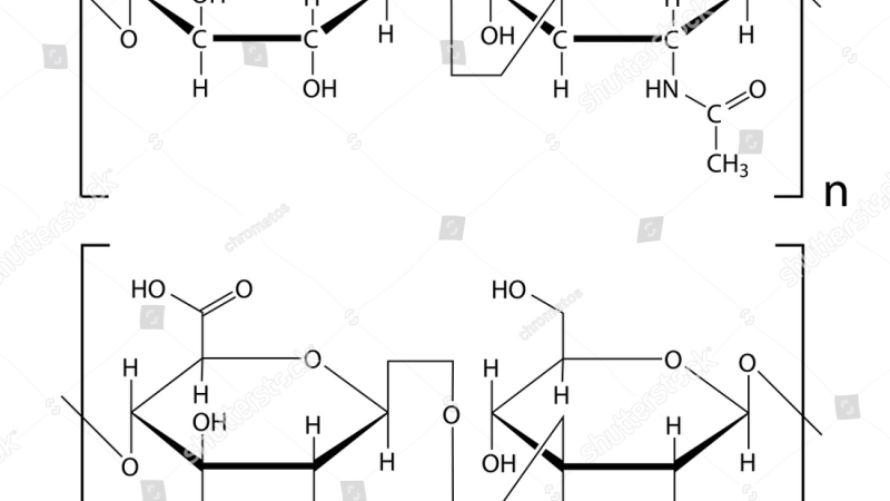 synovial fluid viscosity composition diagram