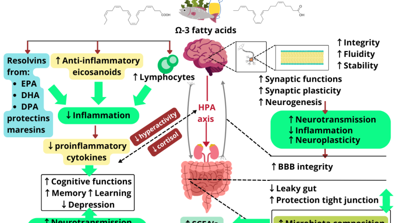 omega-3 molecular structure binding to immune cell receptor