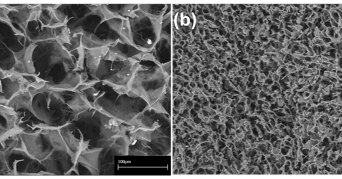 Arthro MD+: The Clinical Frontier of Articular Cartilage Regeneration – How Targeted Nutrition Supports Stem Cell Pathways