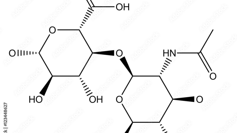 diagram showing long HA chains versus fragmented short HA chains, with text labels