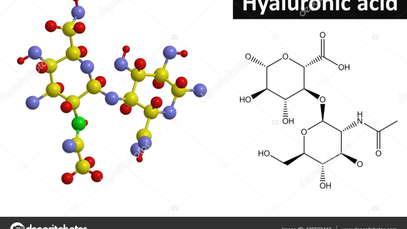 molecular structure of hyaluronic acid chain