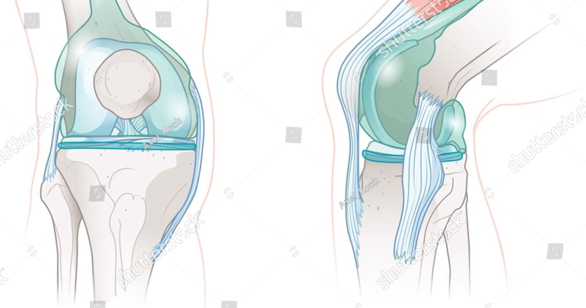 Arthryon: Restoring Synovial Fluid Lubrication for Pain-Free Joint Longevity