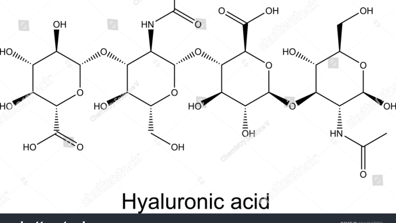 synovial fluid molecules hyaluronic acid collagen