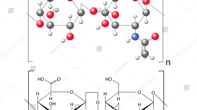 diagram of synovial fluid molecular network degradation