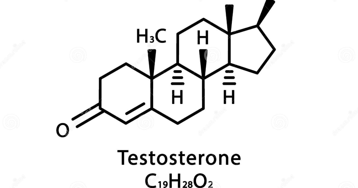 ErecPower: Optimizing Free Testosterone While Minimizing Erythropoiesis and Prostate Risks
