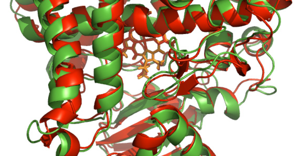 PotentStream: How Aromatase Inhibition Restores Male Hormone Balance and Prostate Health