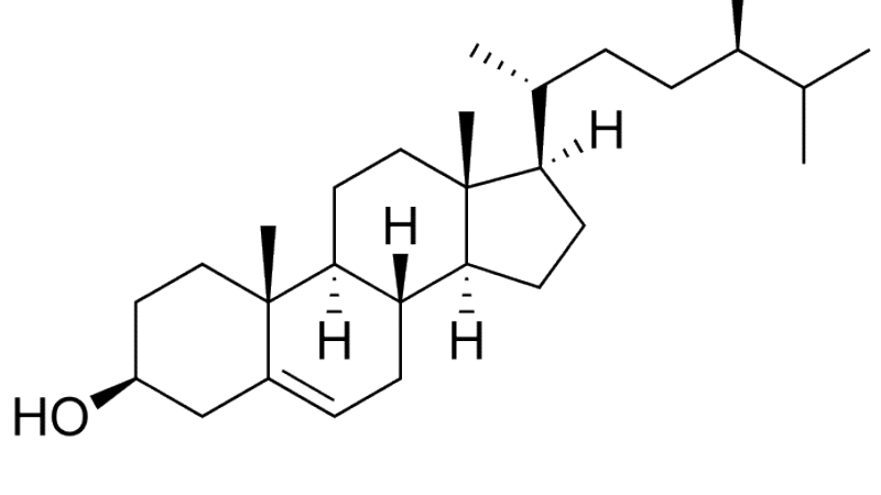 molecular structure of beta-sitosterol bound to COX-2 enzyme