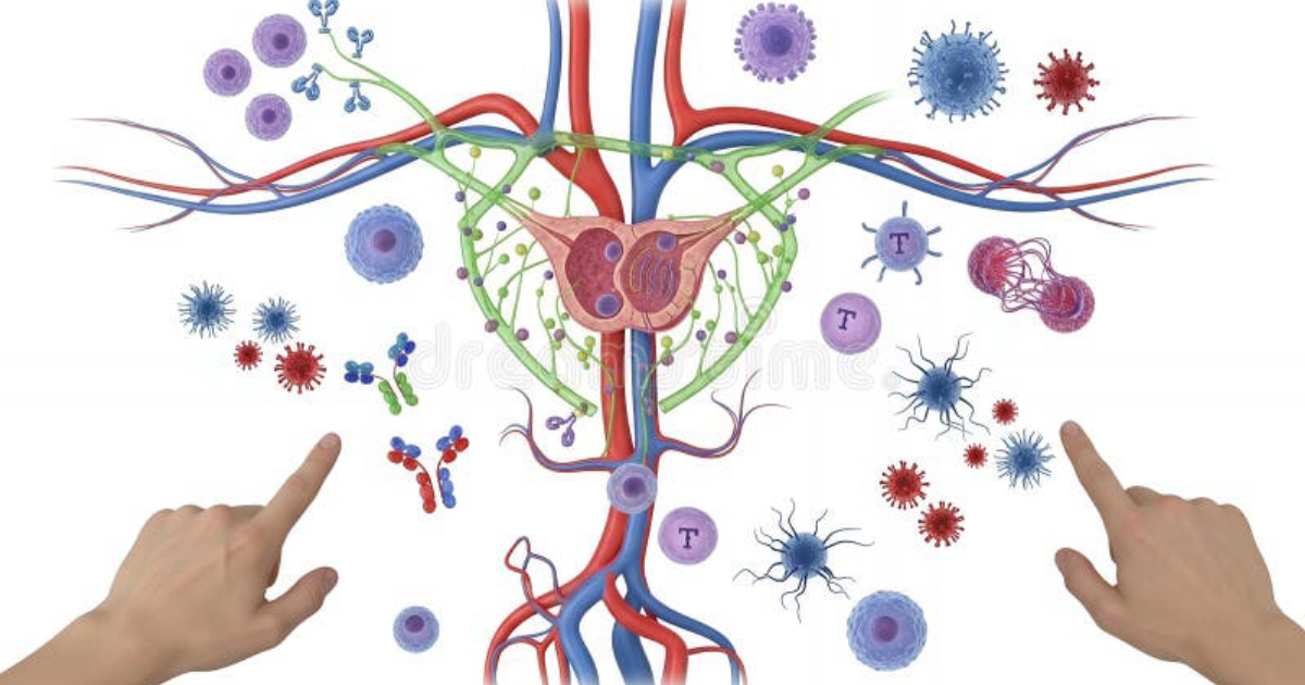 Primal Grow Pro: How Cellular Inflammation Drives Prostate Enlargement and What You Can Do About It