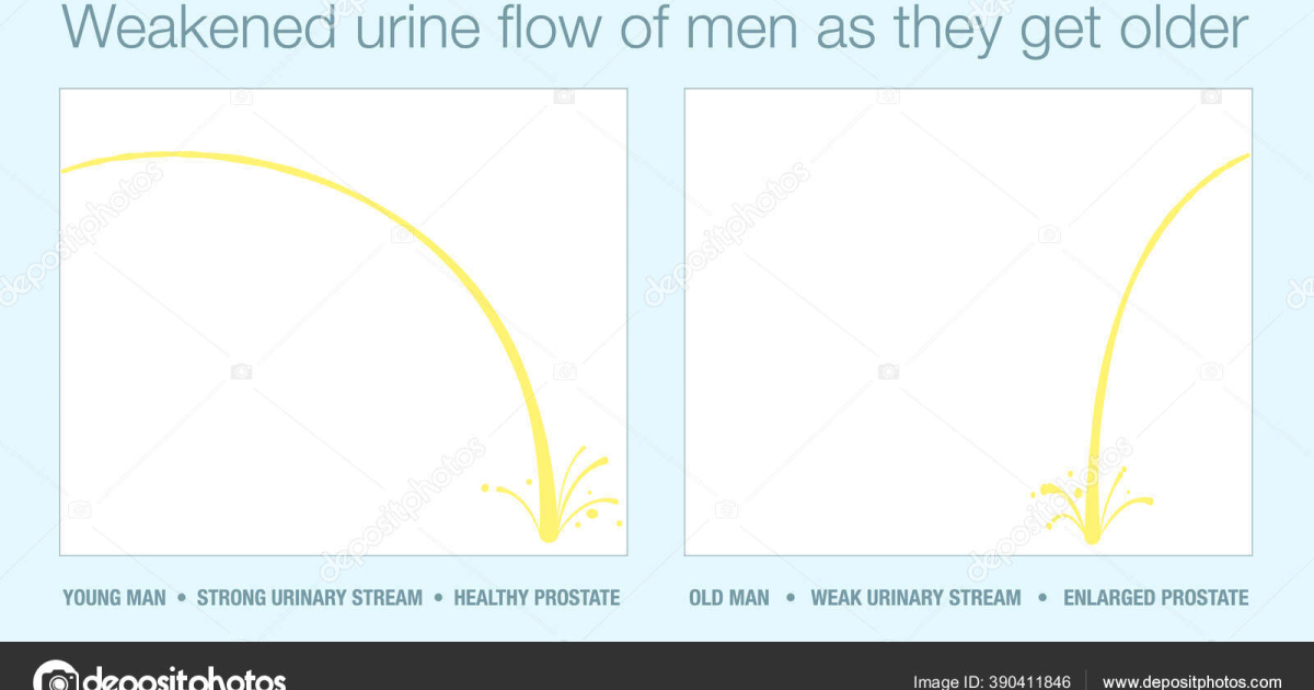 Primal Grow Pro: The Cellular Mechanisms Behind Prostate Health and Urinary Flow Optimization