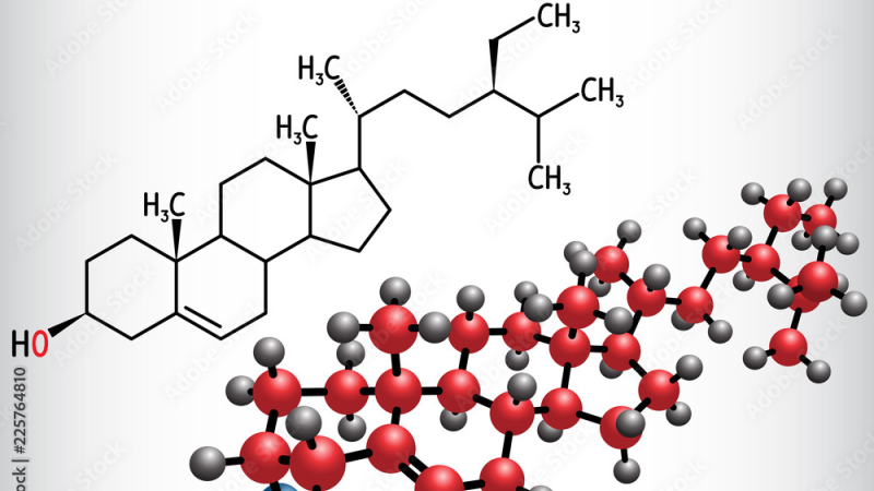chemical structure of beta-sitosterol with comparison to cholesterol