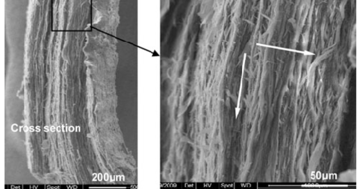 Keravita Pro: Unlocking the Cellular Secrets of Nail Health and Regeneration