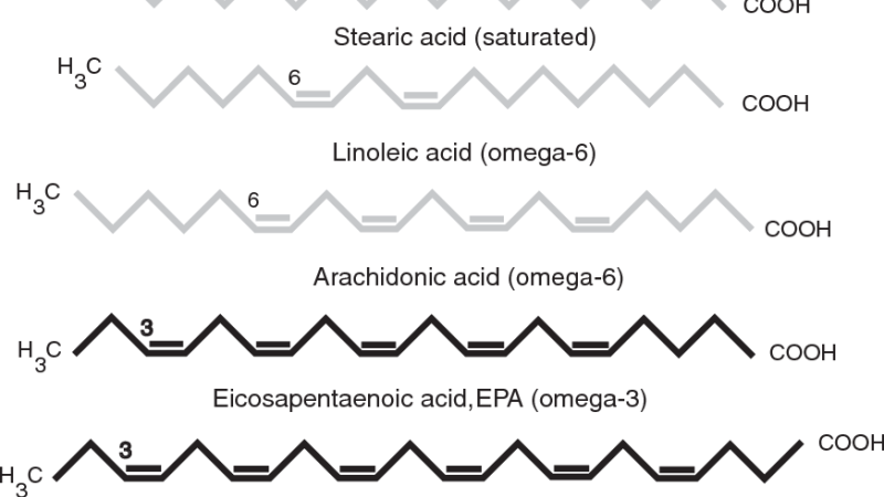 Illustration of synaptic cleft with acetylcholine and receptor