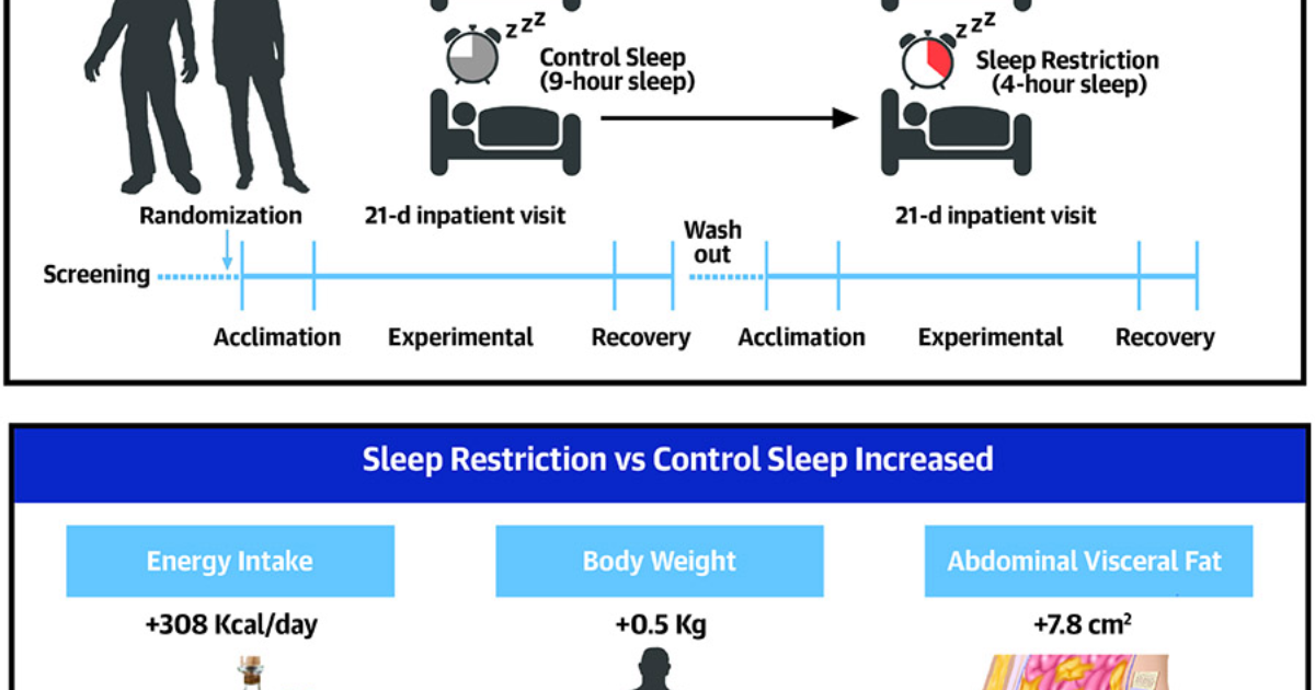 21KETO Gummies: How Sleep Deprivation Disrupts Leptin and Ghrelin Signaling, Promoting Visceral Fat Accumulation
