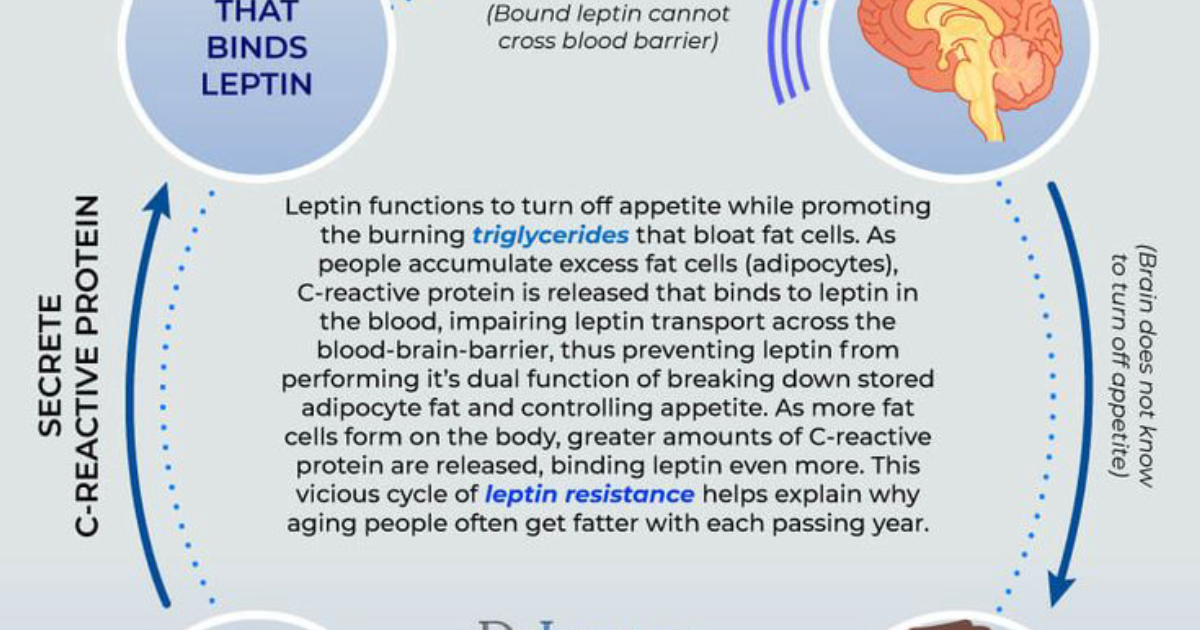 21KETO Gummies: Unraveling Leptin Resistance and the Battle Against Stubborn Belly Fat