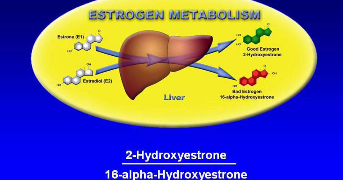 Clarexin Intestinal Parasite Cleanse: How Sulfation Pathways Determine Estrogen Clearance and Symptom Severity