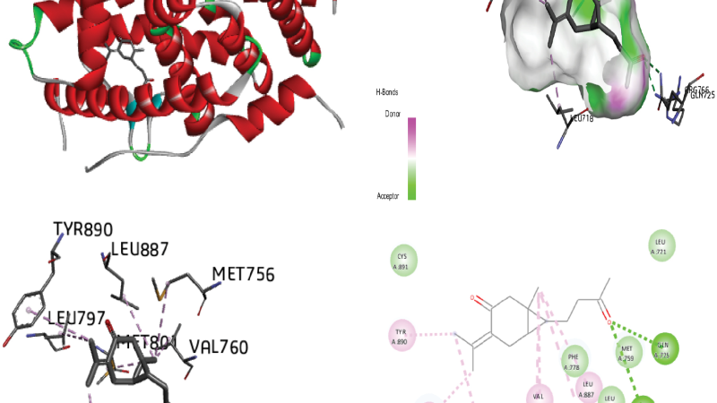 molecular structure of progesterone docking with receptor