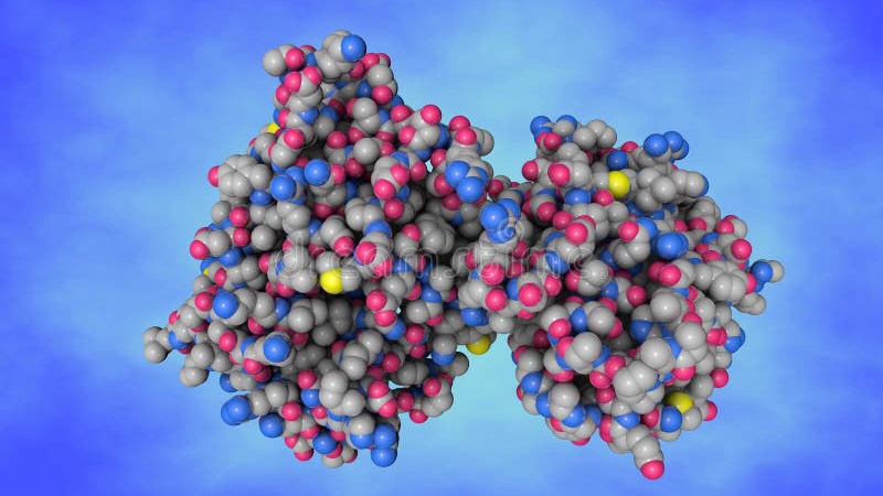 molecular model of progesterone receptor with ligand binding